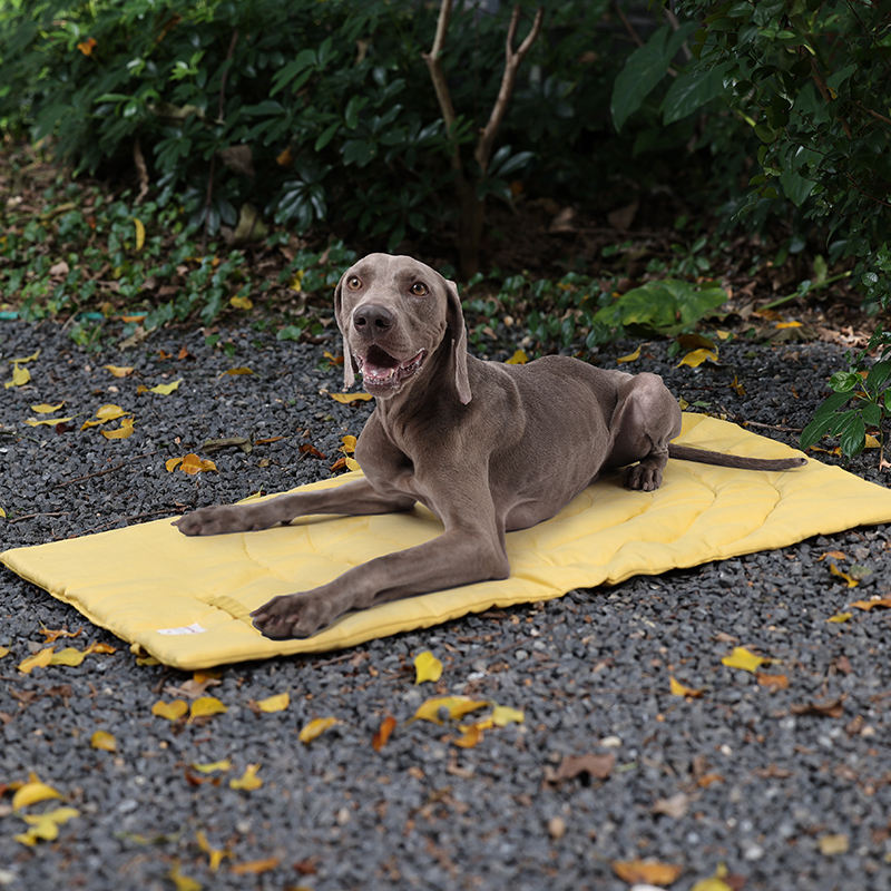 Переносной Коврик для домашних – обзор и цена Outdoor Camping Rug Waterproof